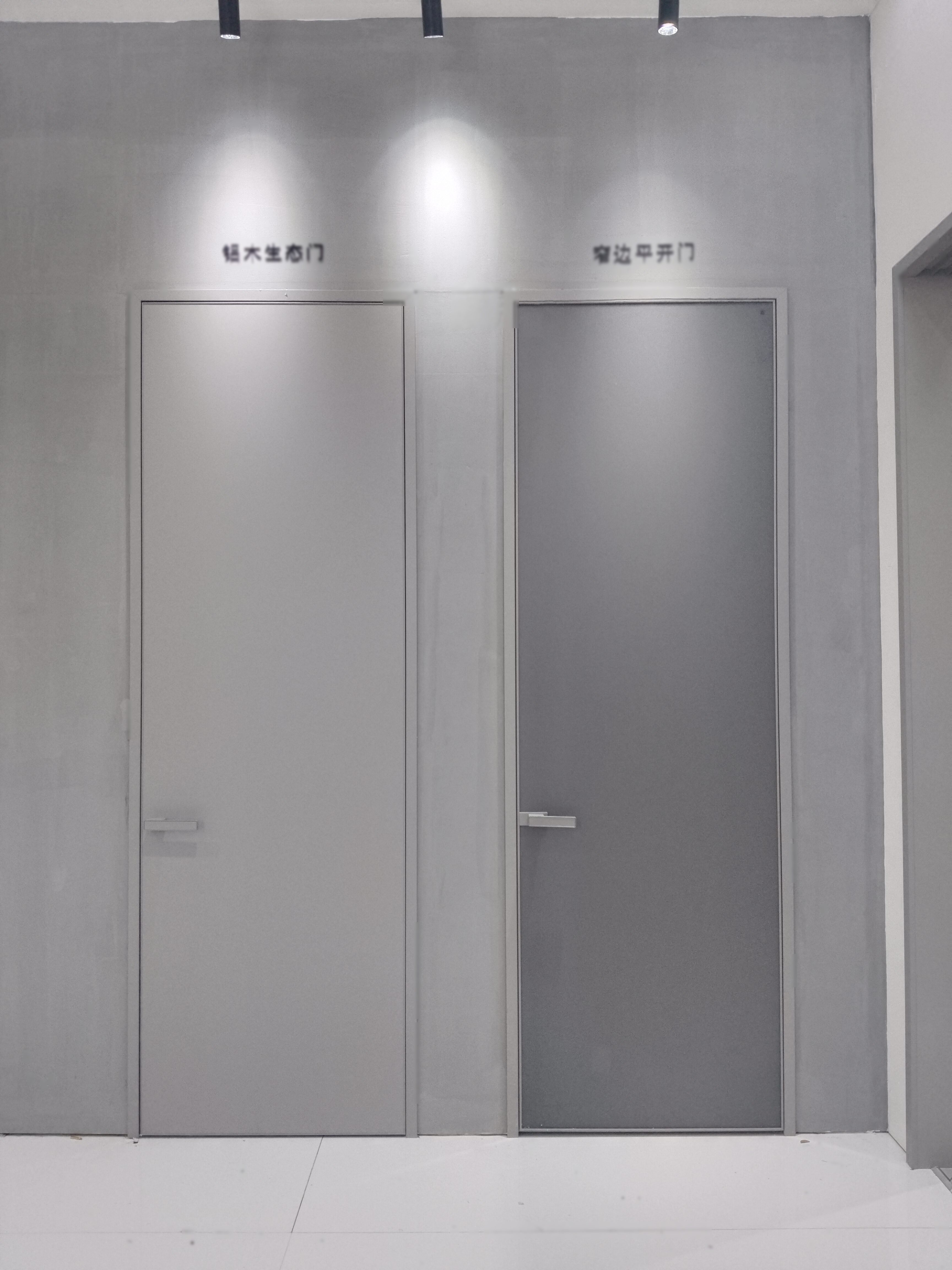 Interior Doors