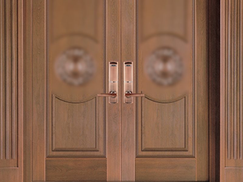 Entry Copper Doors